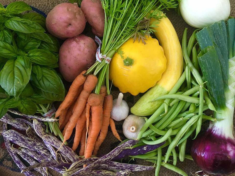 Vegetables from a CSA share