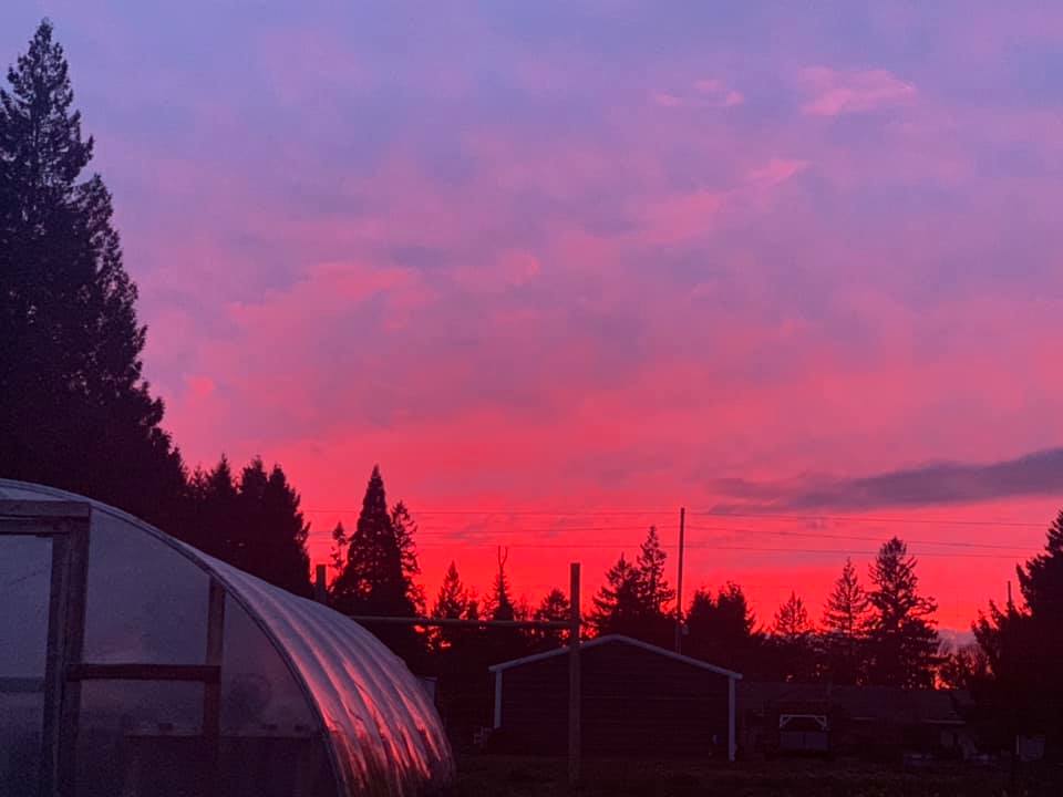 sunset_greenhouse - Sun Love Farm