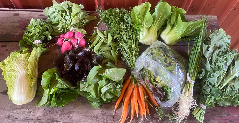 A vegetable CSA share from Sun Love Farm in Oregon City