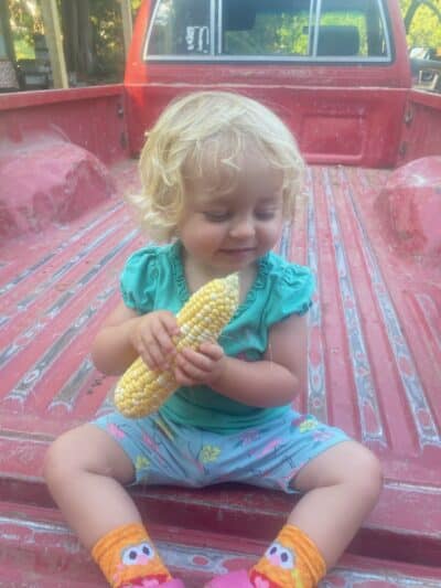 Ada eating corn in the back of the farm truck