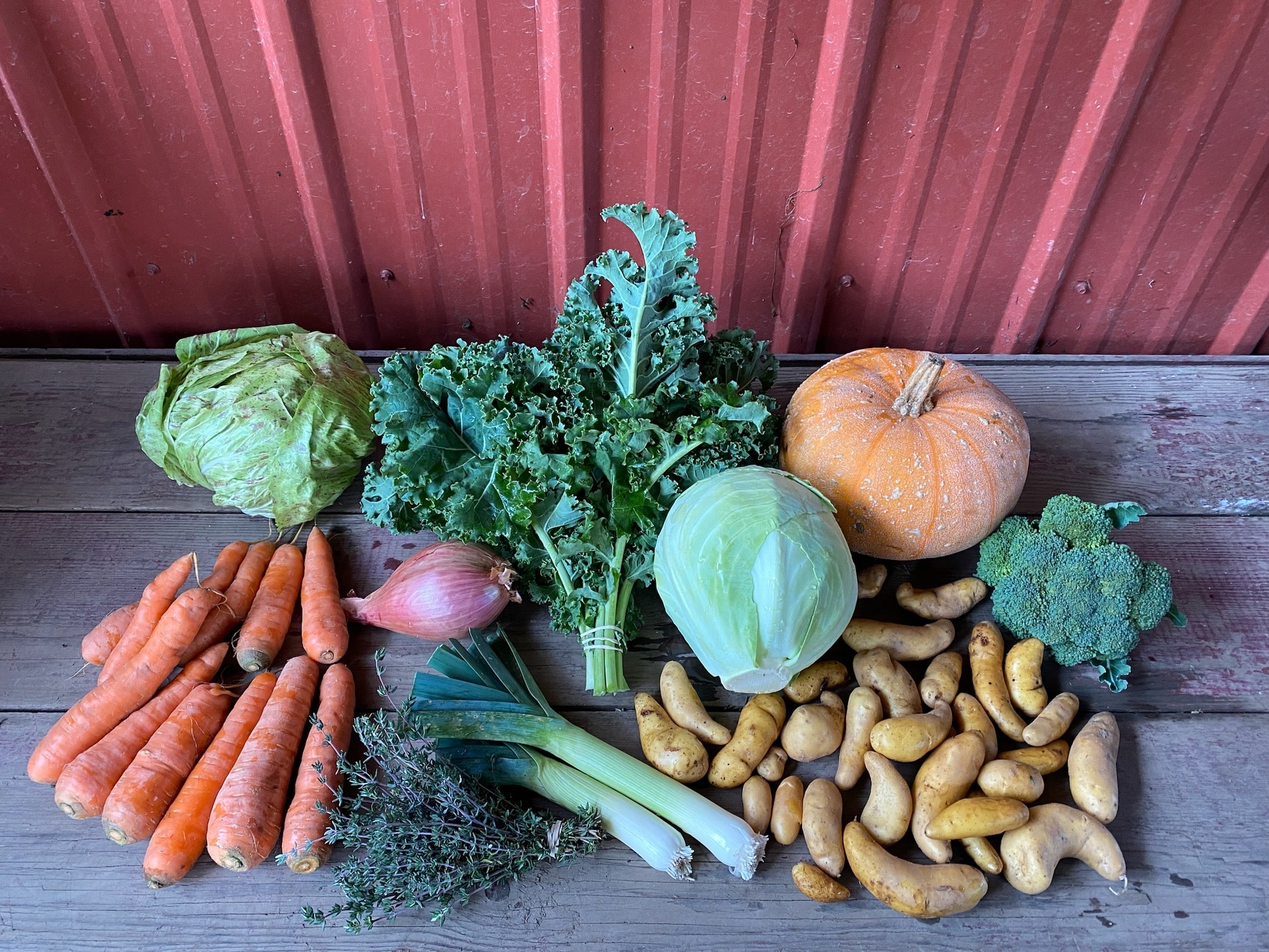 A CSA share with carrots, lettuce, kale, shallots, thyme, leeks, cabbage, squash, potatoes, and broccoli